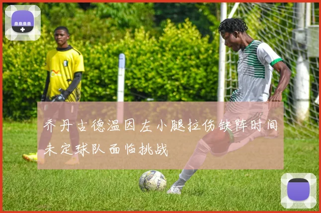 乔丹古德温因左小腿拉伤缺阵时间未定球队面临挑战