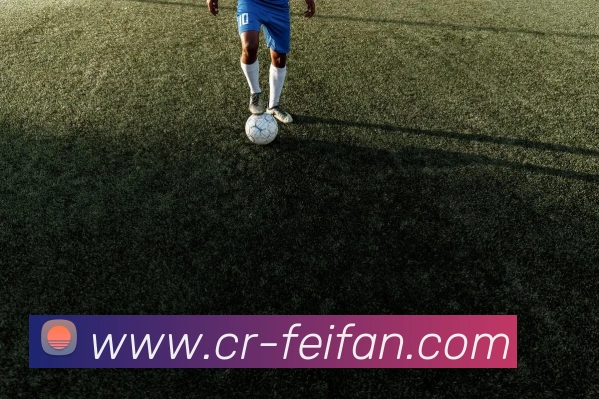 非凡体育平台生态图