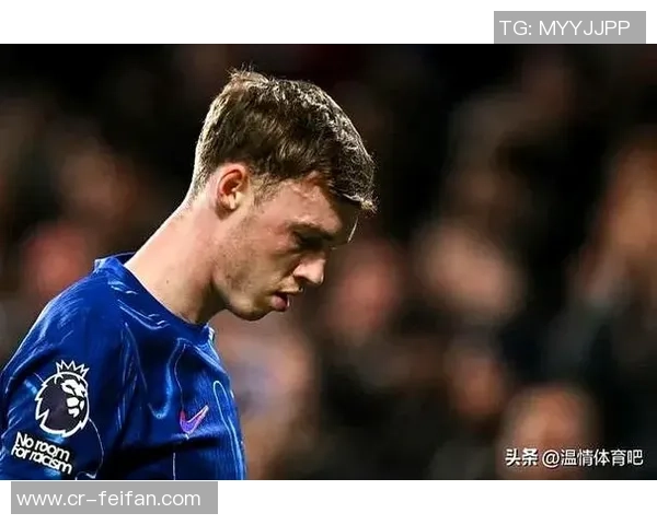 英超本轮战绩惨淡仅枪手蓝军获胜其余球队全败创下新低