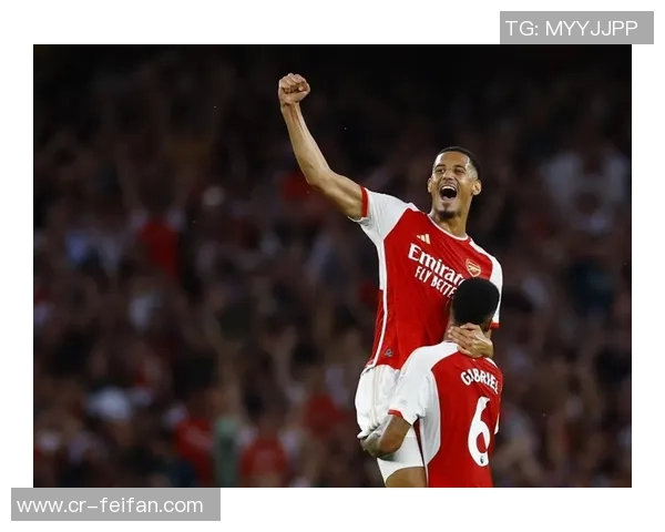 英超第19轮最佳球员候选名单揭晓加纳帕奎塔特罗萨德争夺荣誉 英超第19轮最佳球员候选名单揭晓加纳帕奎塔特罗萨德争夺荣誉